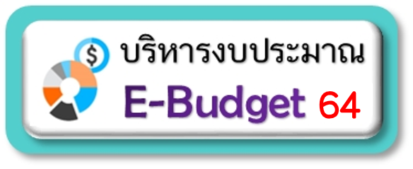 budget64new