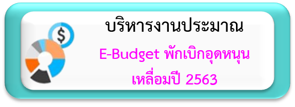 budget64