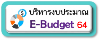 budget64new